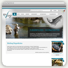 Blickfang Fliegenfischen